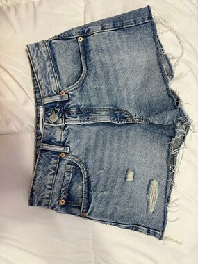 Garage Light Blue Distressed Jean Shorts